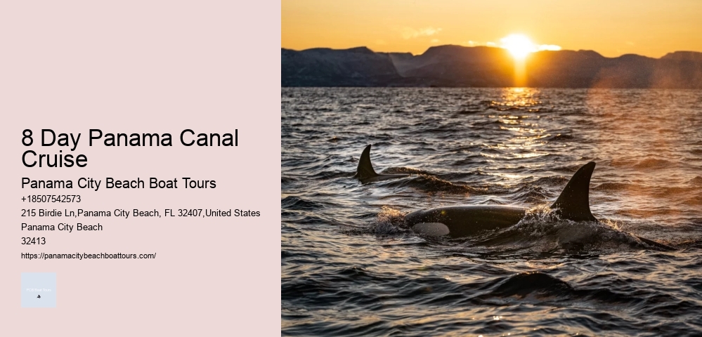 8 Day Panama Canal Cruise