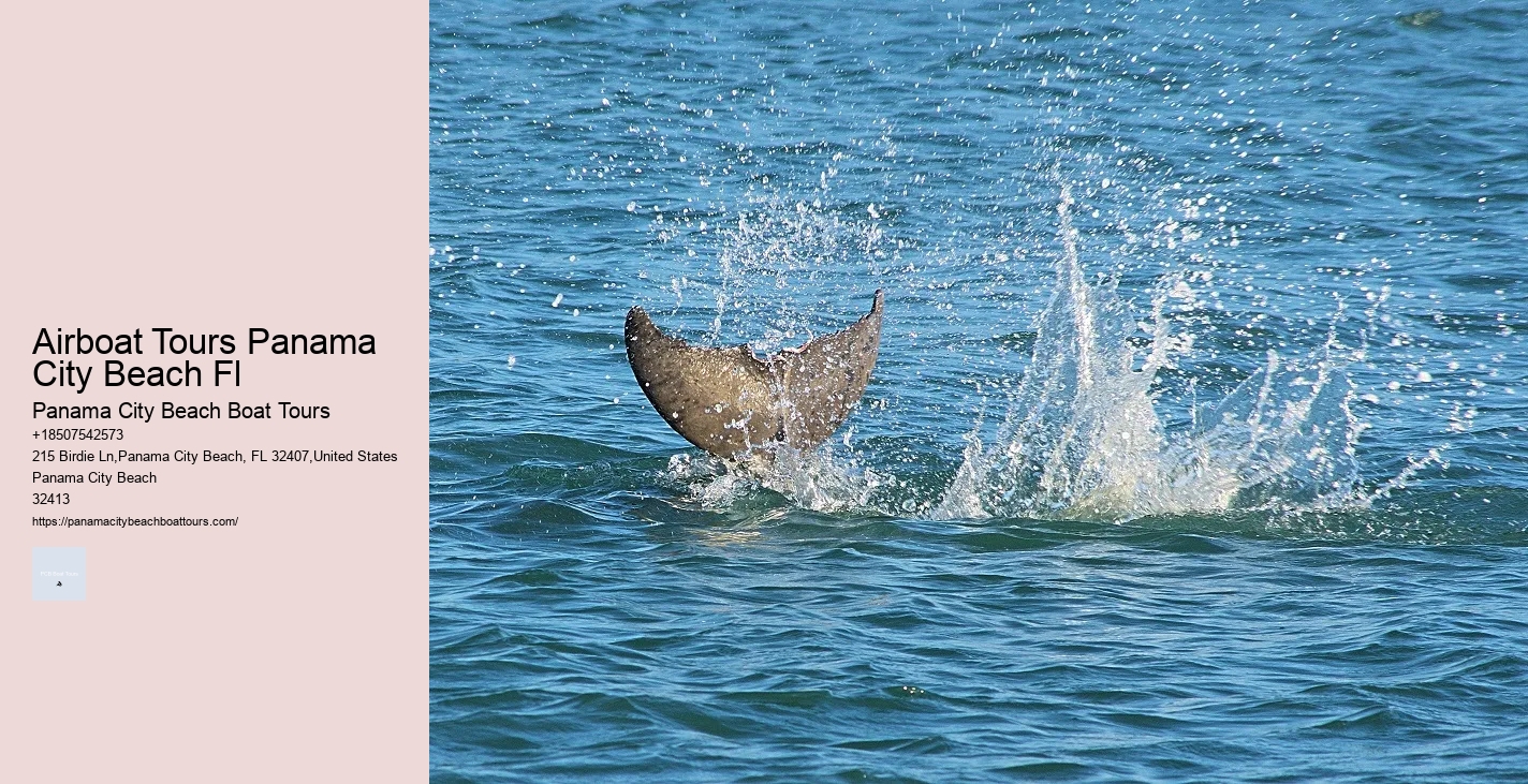 Island Cove Boat Rides