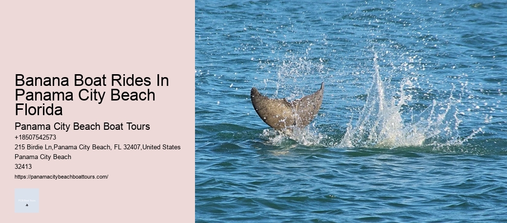 Wildlife Watching Tours