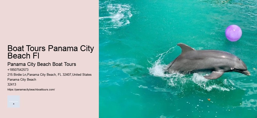 Which Is The Best Panama Canal Tour