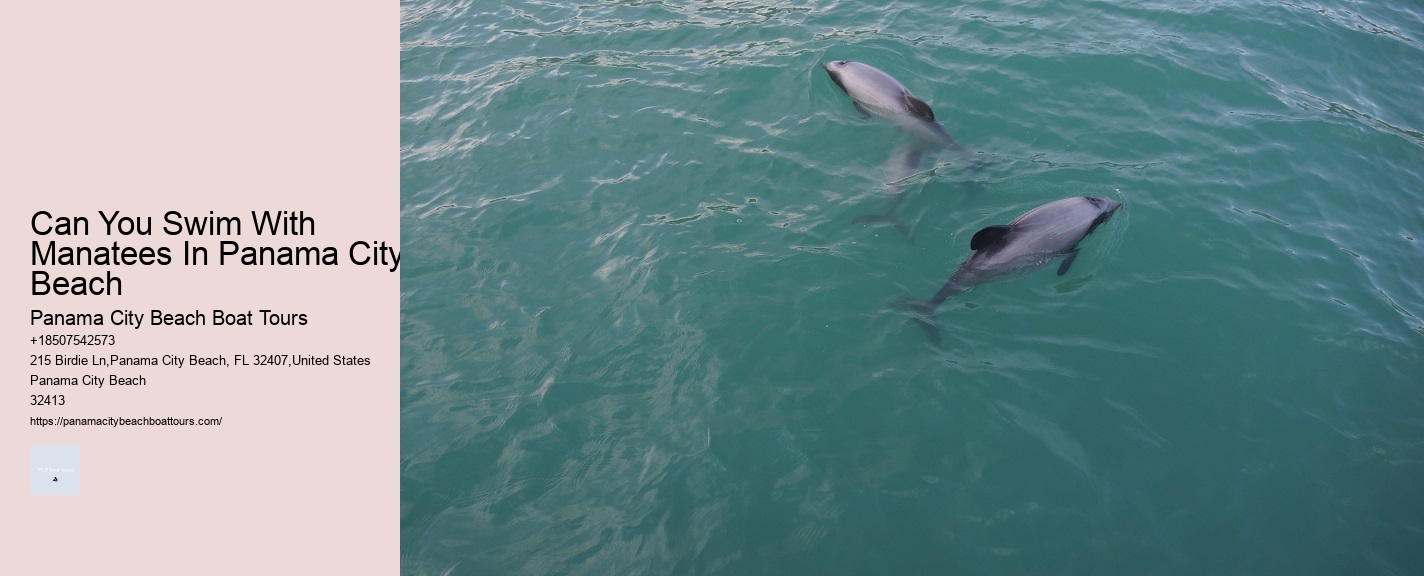 Can You Swim With Manatees In Panama City Beach