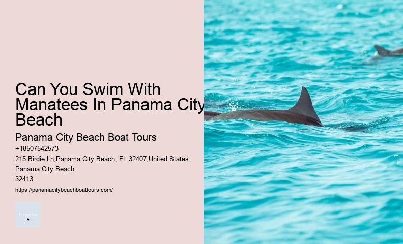 How To Catch Fish Even When Dolphins Are Around