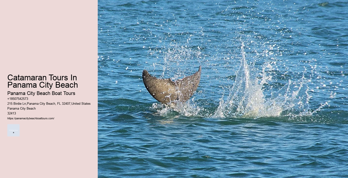 Private Boat Tours In Panama City Beach