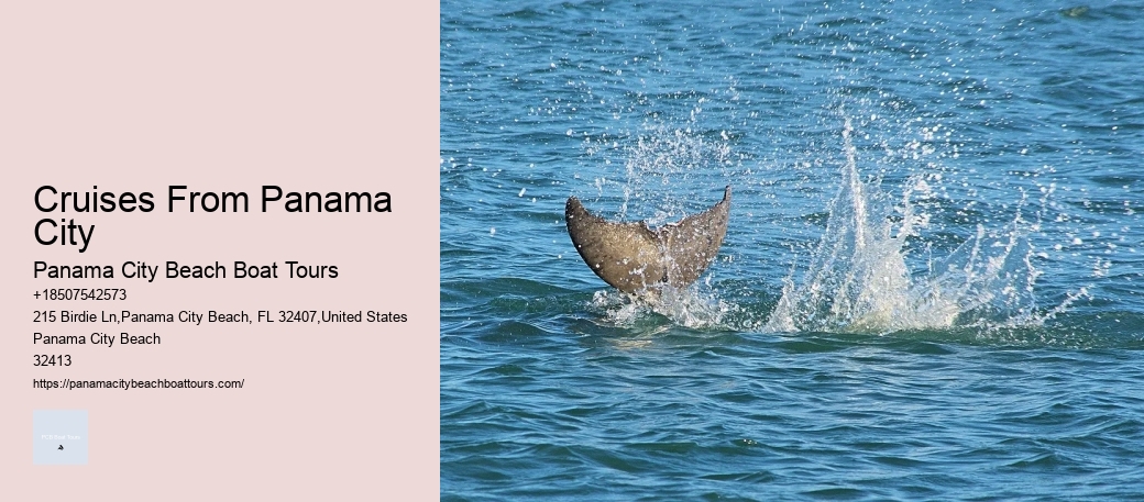 Panama City Cruise Ship Port: Parking, Address & Amenity Info