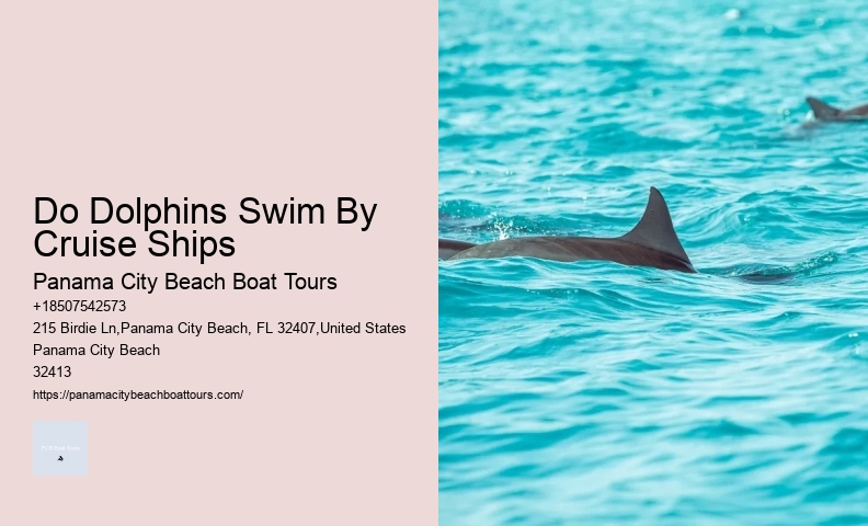 Pcb Water Sport Excursions