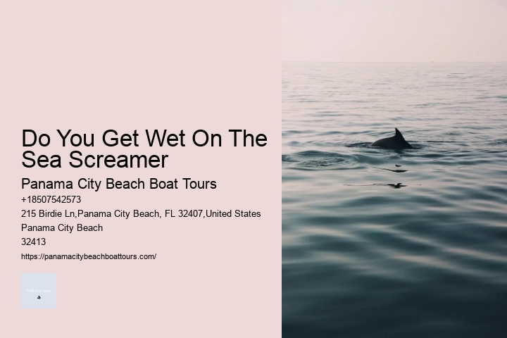 Do You Get Wet On The Sea Screamer