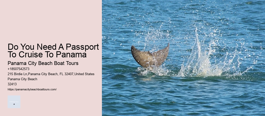 Coastal Sunset Boat Trips