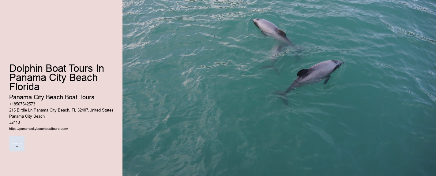 Dolphin Boat Tours In Panama City Beach Florida