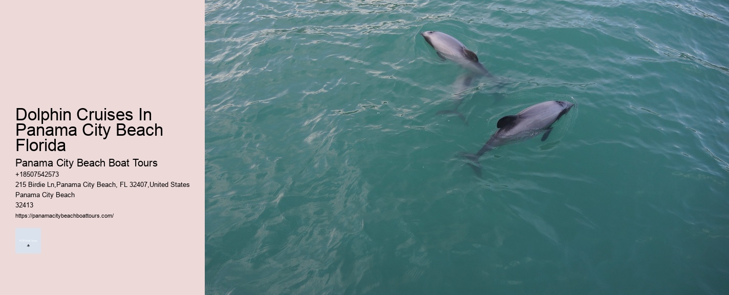 Dolphin Cruises In Panama City Beach Florida