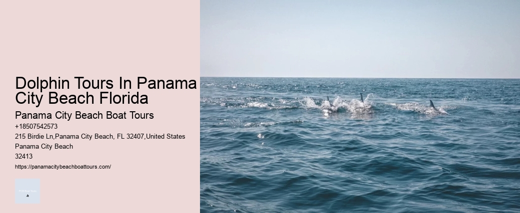 Dolphin Tours In Panama City Beach Florida