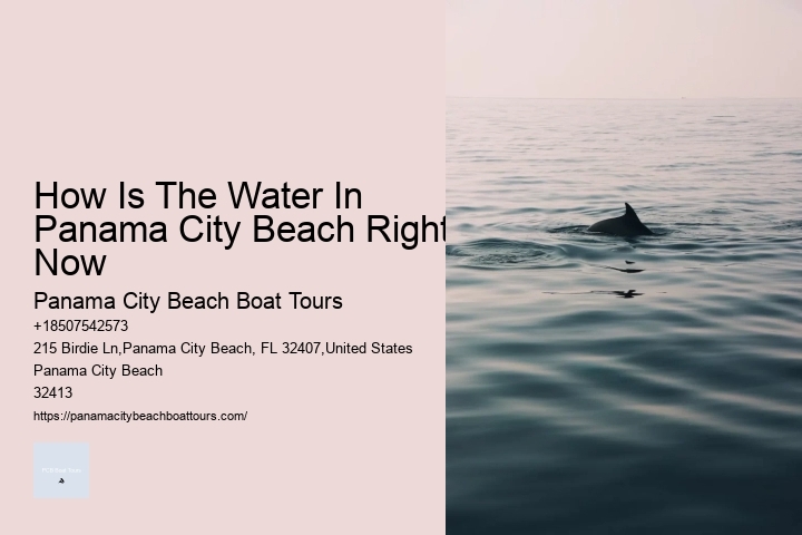 How Is The Water In Panama City Beach Right Now