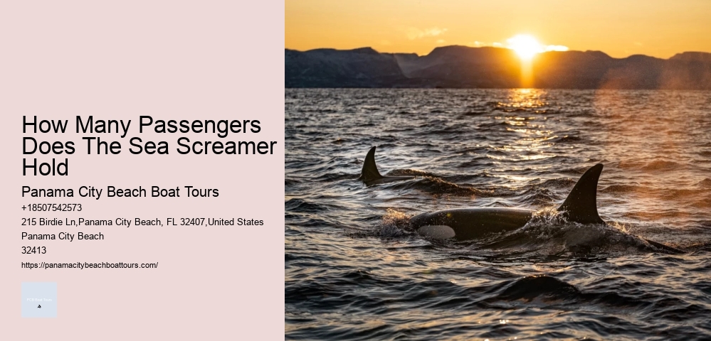 How Many Passengers Does The Sea Screamer Hold