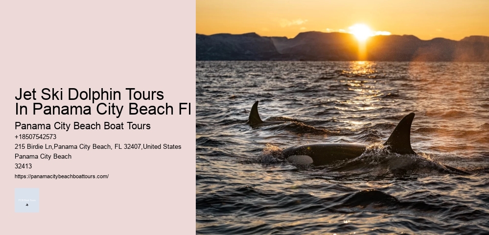 Which Cruise Line Has Gone Bust