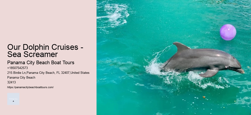 Can You Take A Cruise From Panama