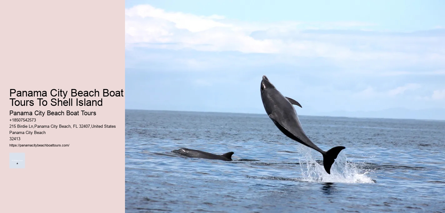 Panama City Beach Boat Tours To Shell Island