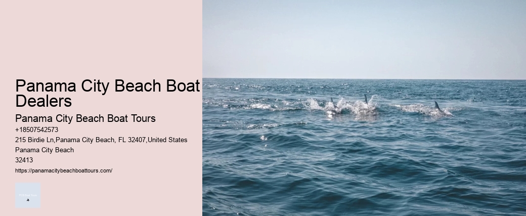 Sightseeing And Boat Trips