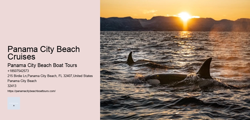 Panama City Beach Cruises