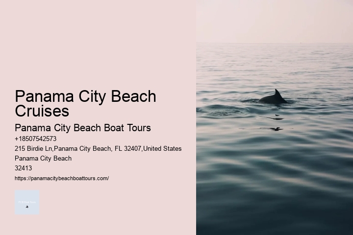 What Is The Best Way To Tour The Panama Canal