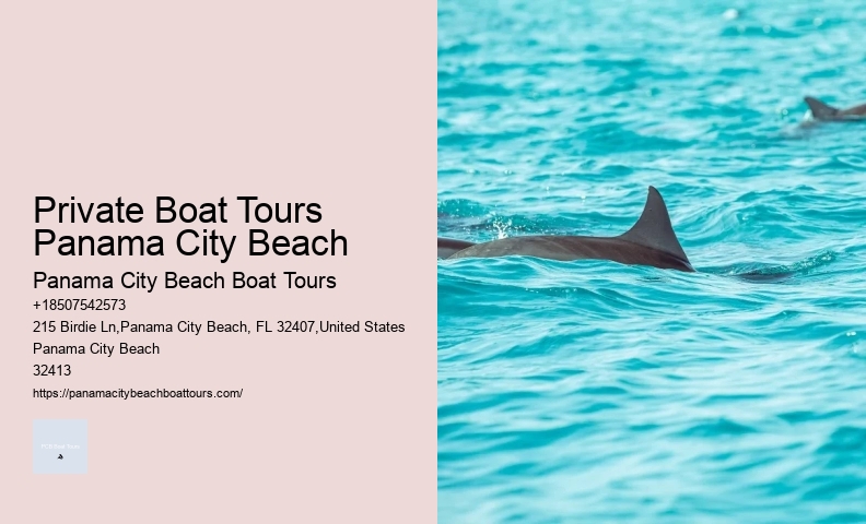 Guided Wildlife Boat Tours