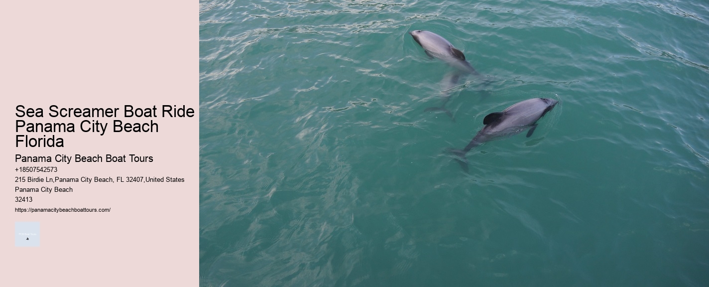 Sea Screamer Boat Ride Panama City Beach Florida