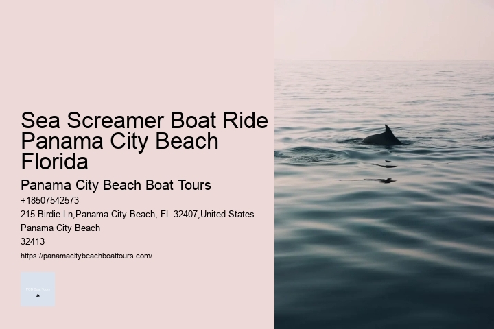 You Might See Them From The Ship