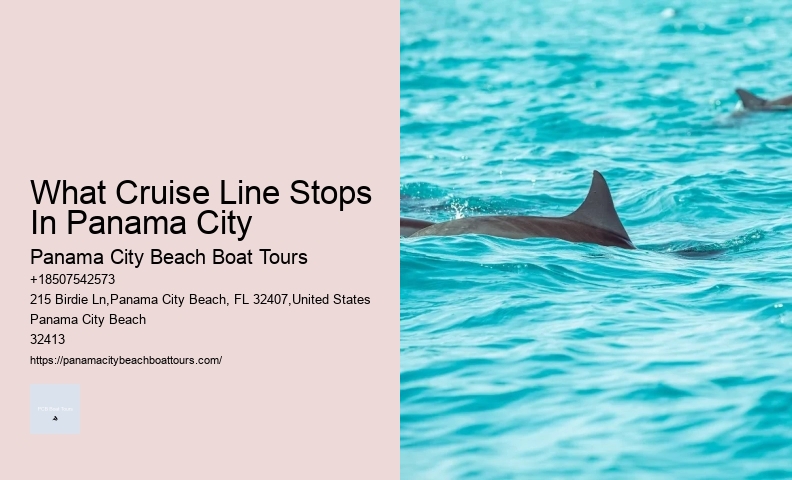 Adventure Yacht Charters Pcb