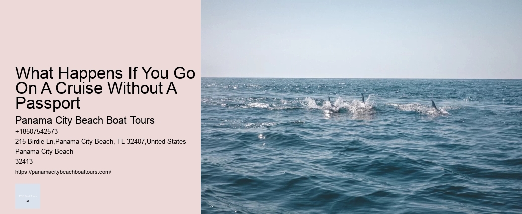 What Happens If You Go On A Cruise Without A Passport