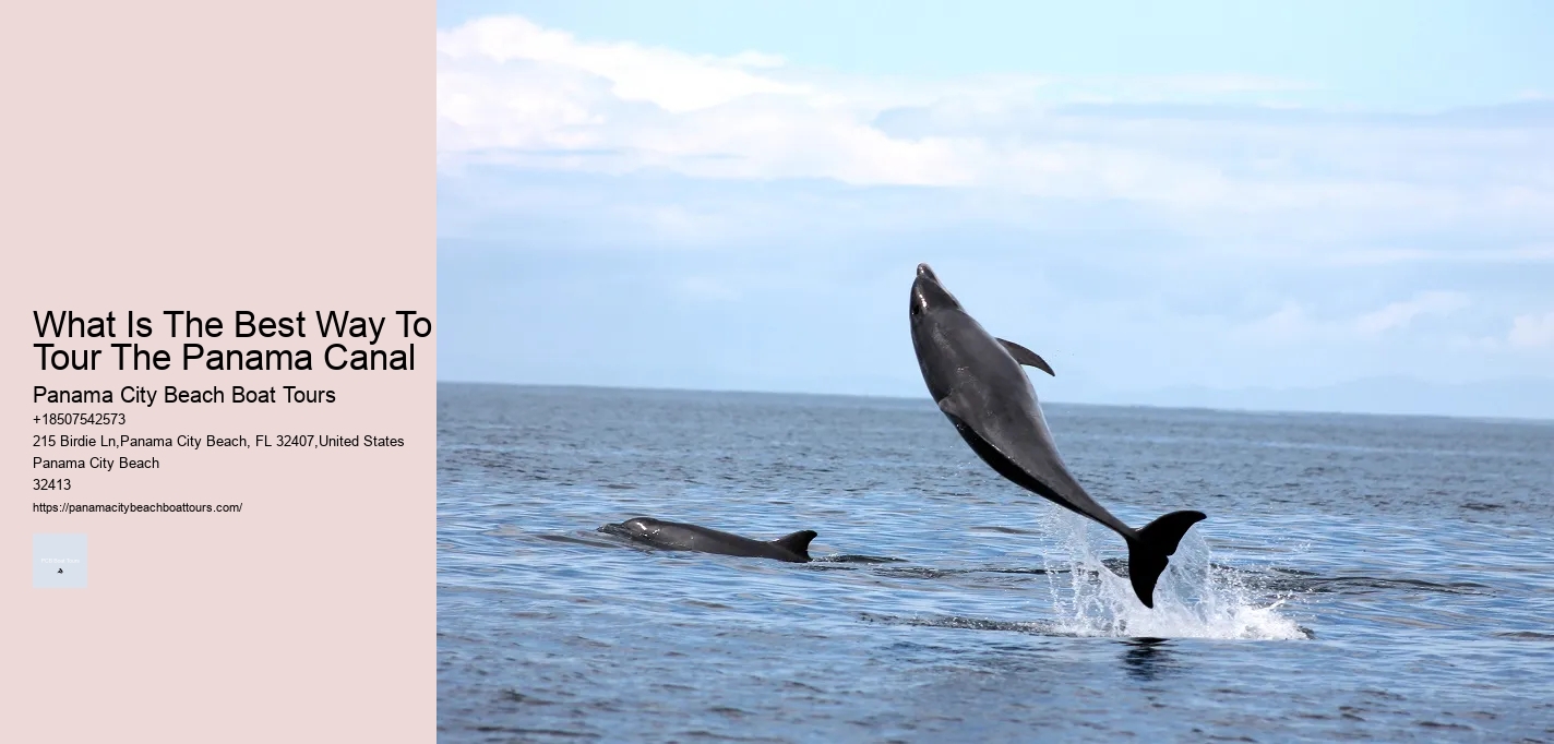 What Is The Best Way To Tour The Panama Canal