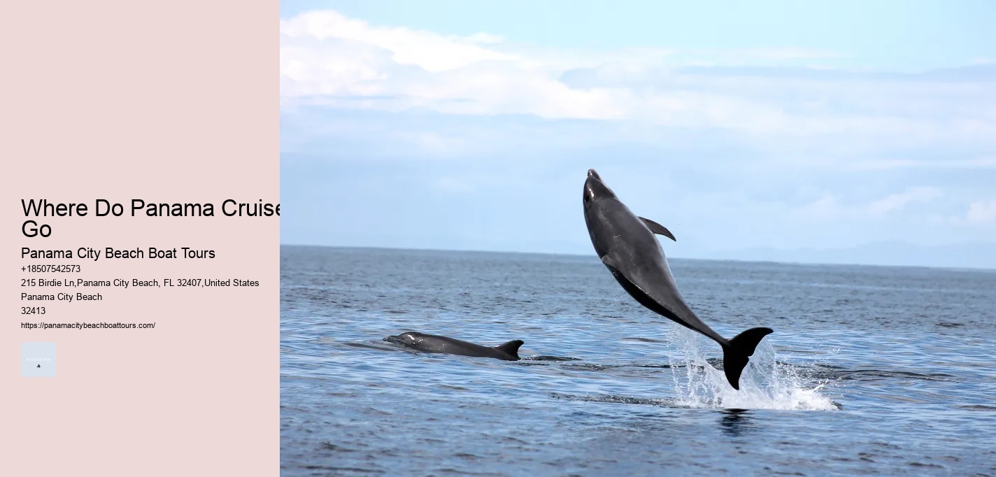 Pcb Island Boat Cruises