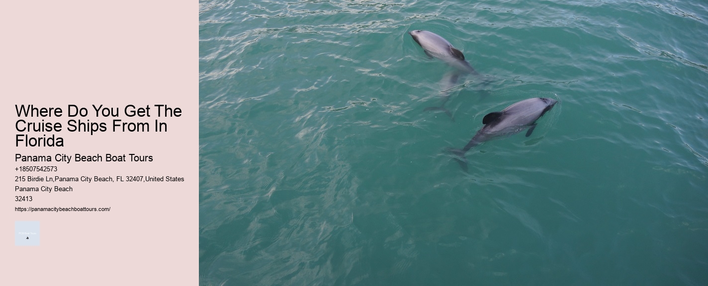 Where Do You Get The Cruise Ships From In Florida