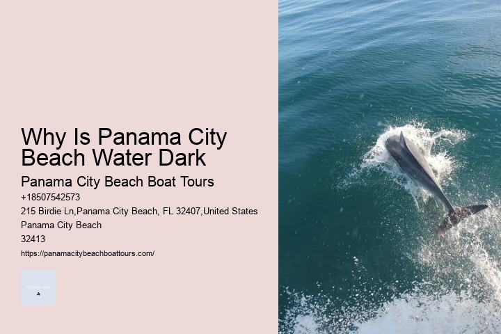 Towels, Swimsuits, And Extra Clothing