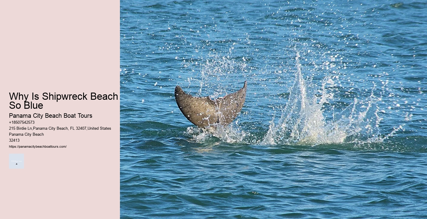 Boat Tours In Panama